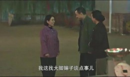 峰嫂爆料老丈人视频,老丈人视频引发热议，真相究竟如何？