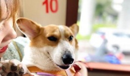 2023娱乐吃瓜爆料,揭秘年度最热吃瓜爆料