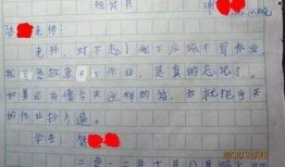 娱乐吃瓜酱检讨书